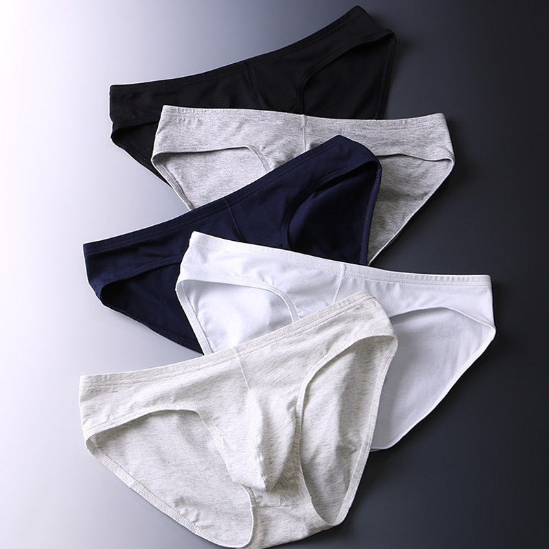 Sous-vêtements en coton Triangle pour hommes Basse taille Sexy U Pouch