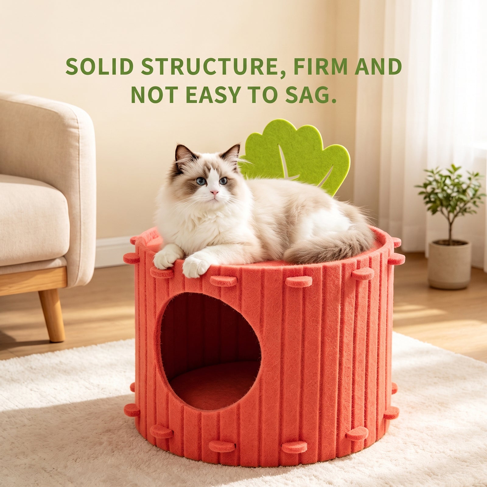 Seule prise de soi---Felt Radish Pet House