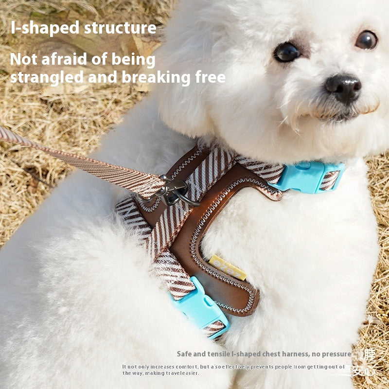 Poignée de chien anti-dérapante réglable