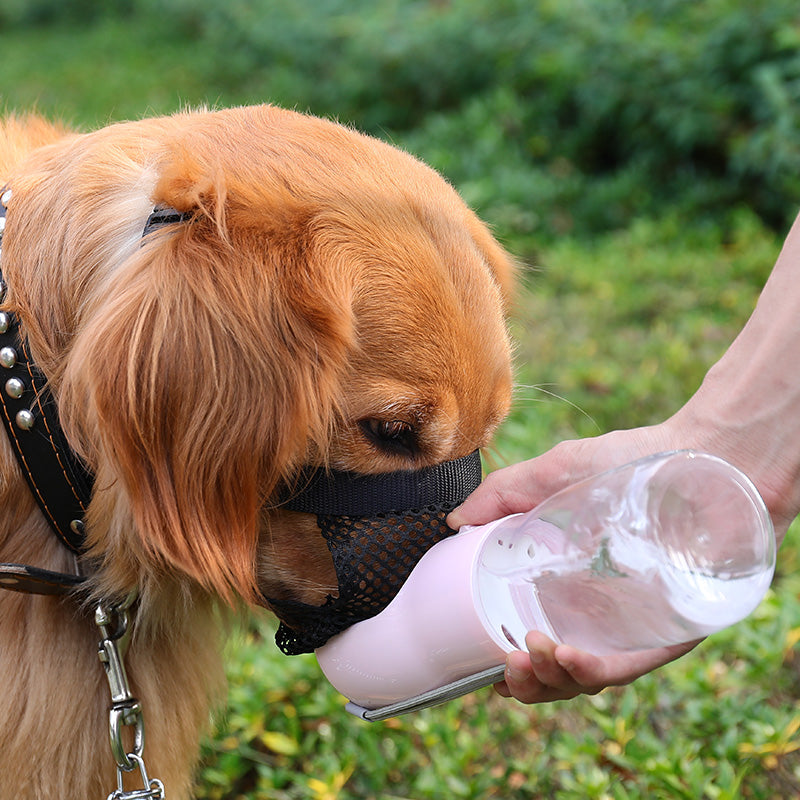 Anti-biting et manger petit et grand muselière de chien