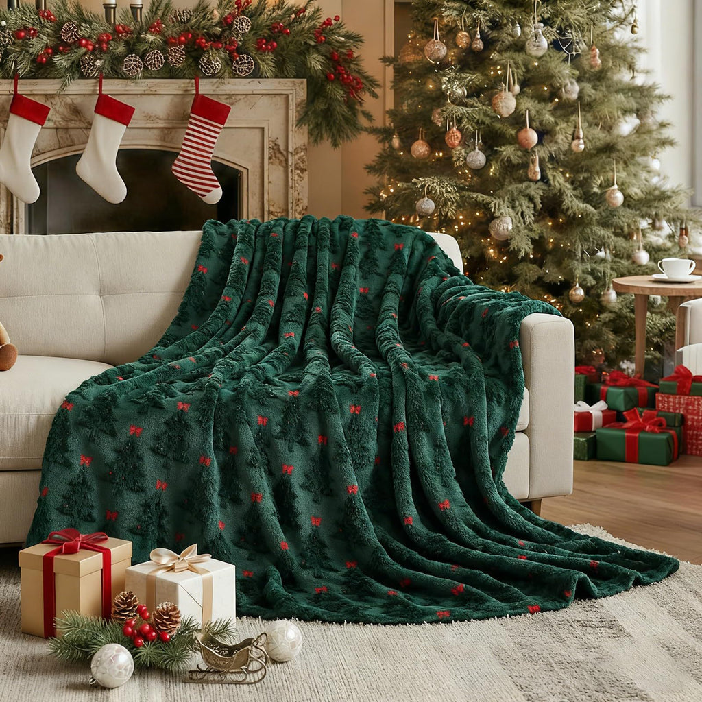 Couverture de Noël