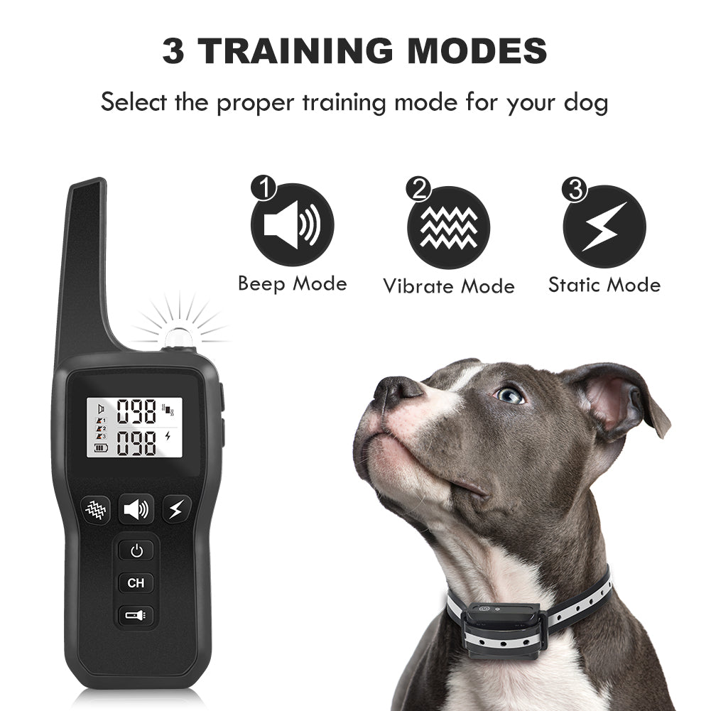 Télécommande Pet Trainer -dog