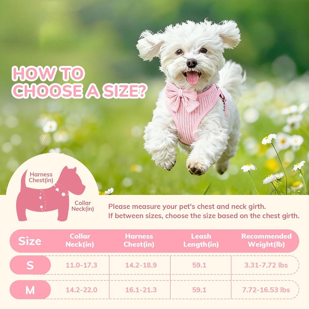 Small dog harness and leash set