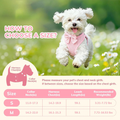 Small dog harness and leash set