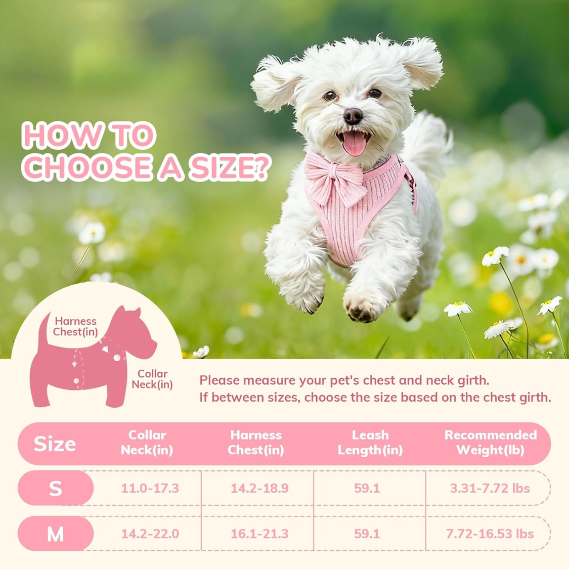 Small dog harness and leash set