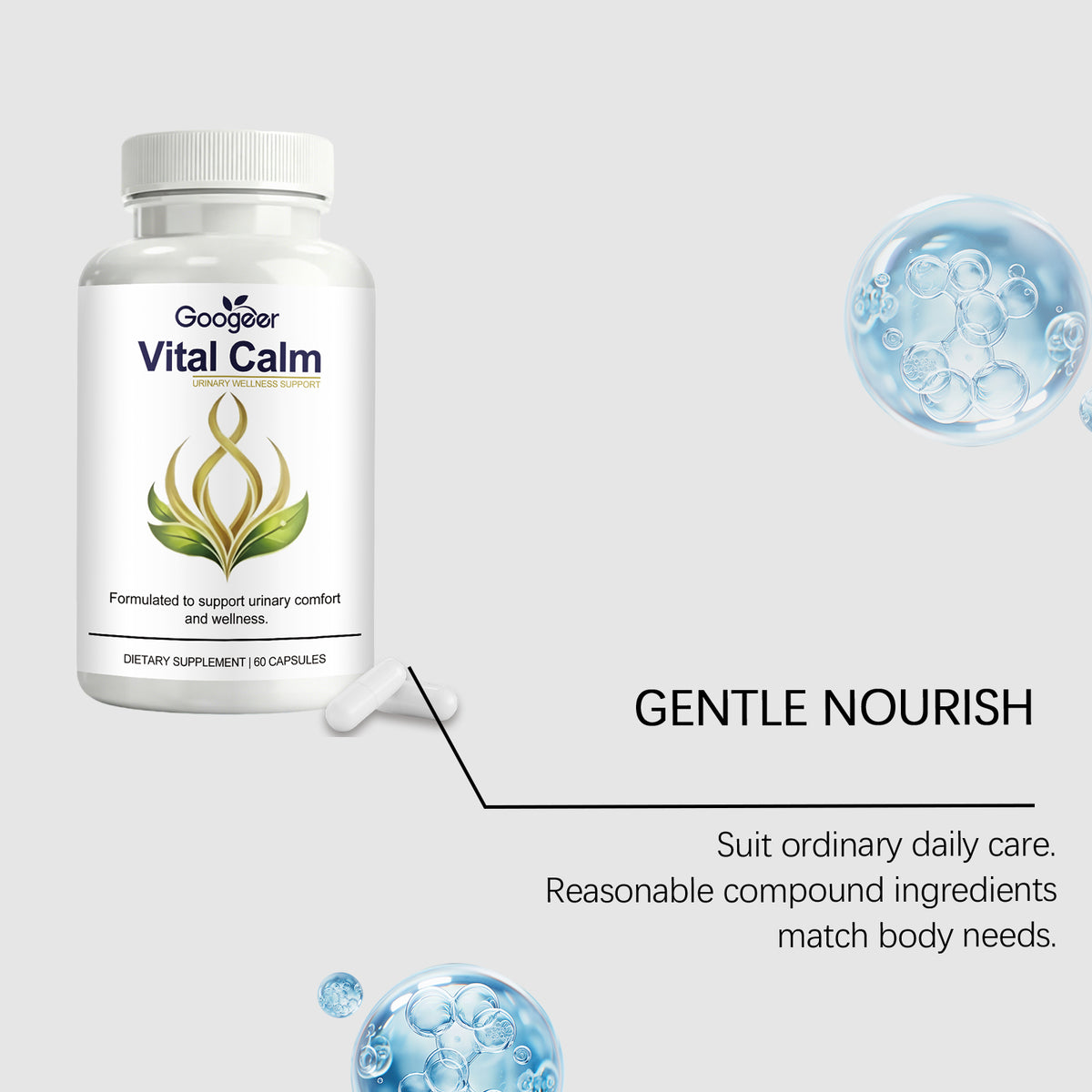 Capsules de soins de santé urinaires à usage oral 60 Capsules par bouteille