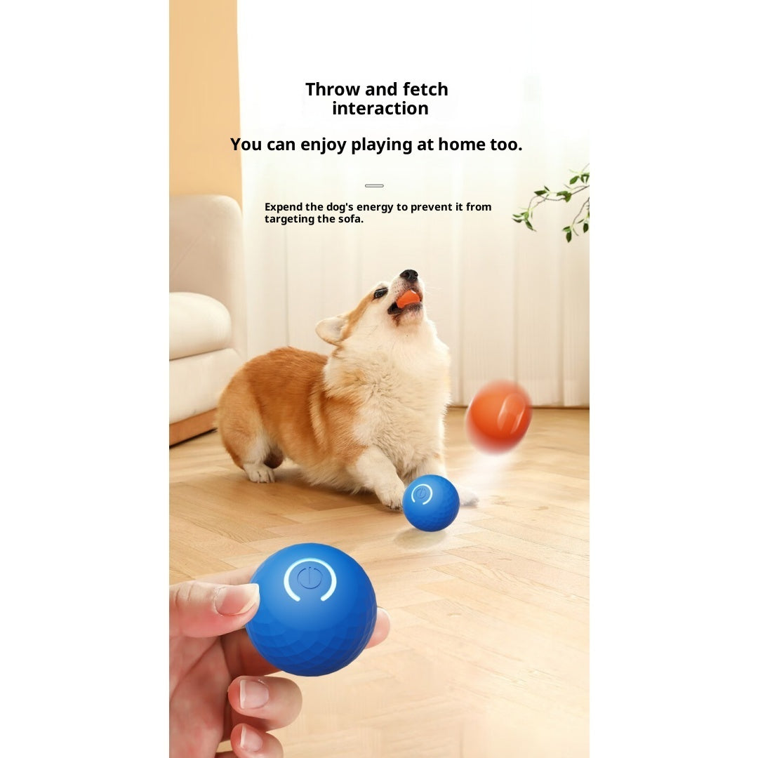 Boule de jouet électrique interactive pour chien gravitationnelle pour self-play