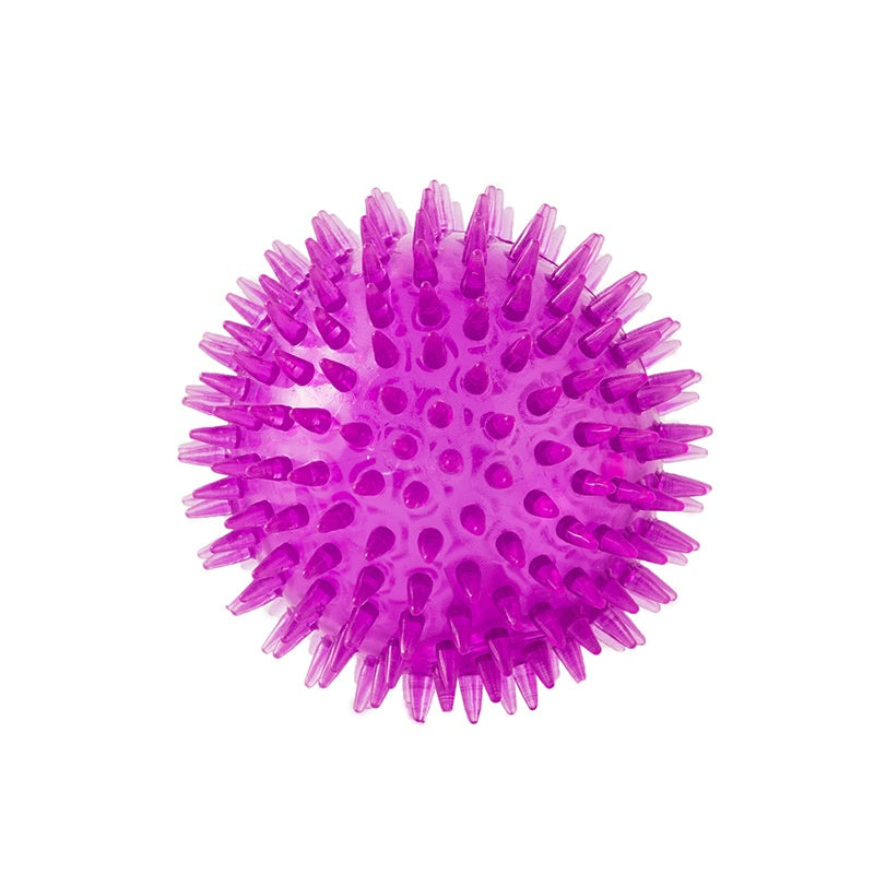 Pet Dog Toy Ball