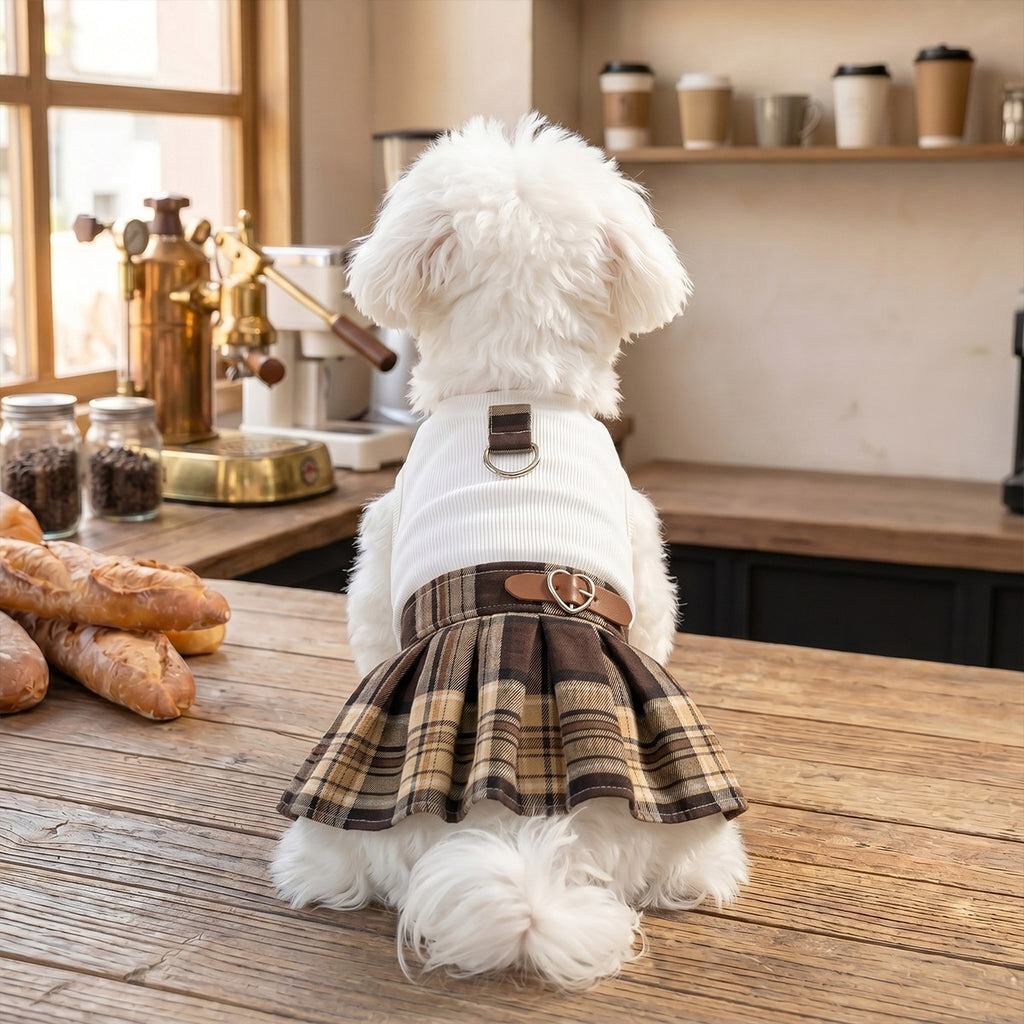 Robe plissée de chien de compagnie préppy.