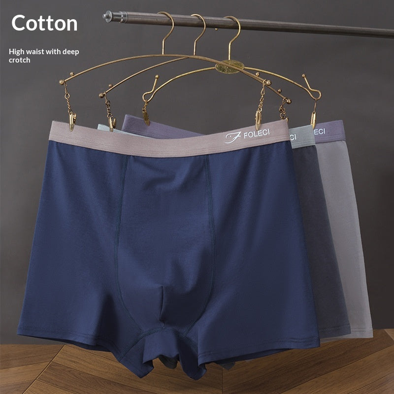 Sous-vêtements pour hommes en coton taille haute