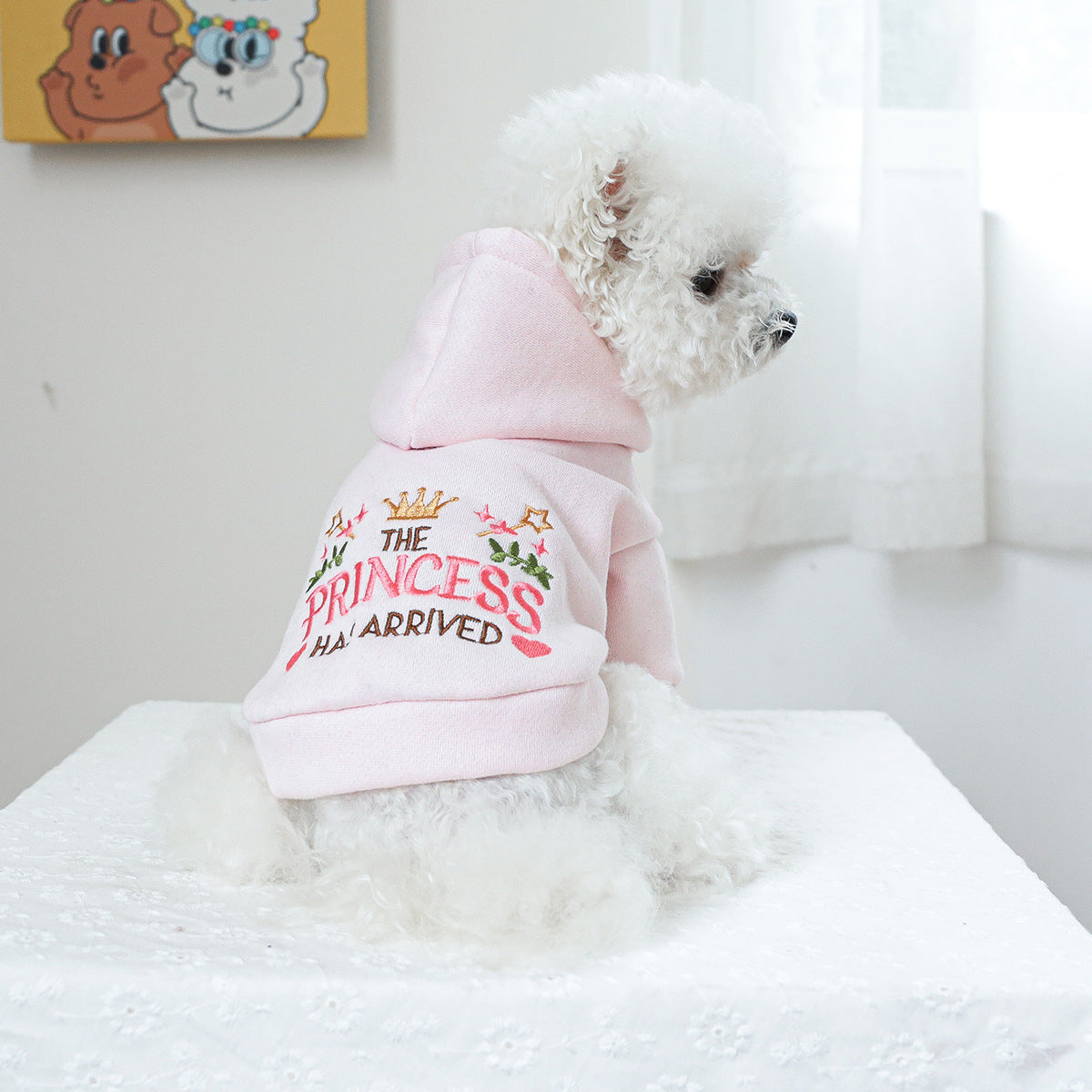 Vêtements pour animaux de compagnie Vêtements de chat à capuche Petite princesse