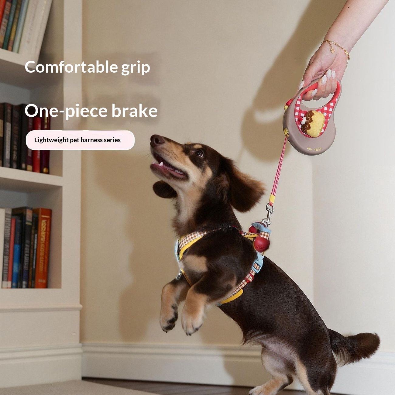 Petits et moyens chiens dans la corde de traction
