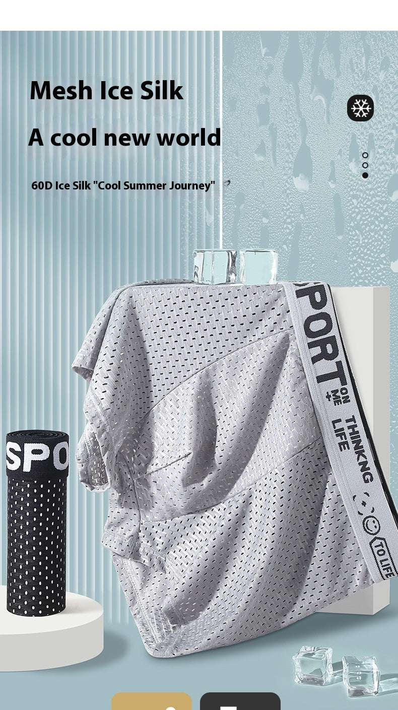 Sous-vêtements Hommes Ice Silk Mesh Boxers