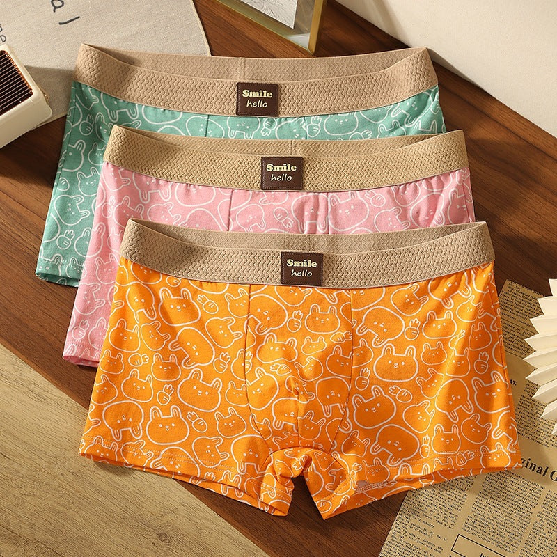 Sous-vêtements pour hommes Slips cartonnés en coton imprimé