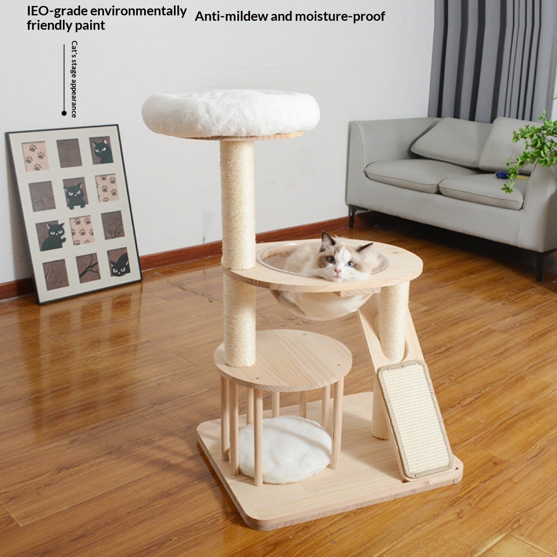 Maison de chat et plate-forme de saut Combo bois massif arbre de chat