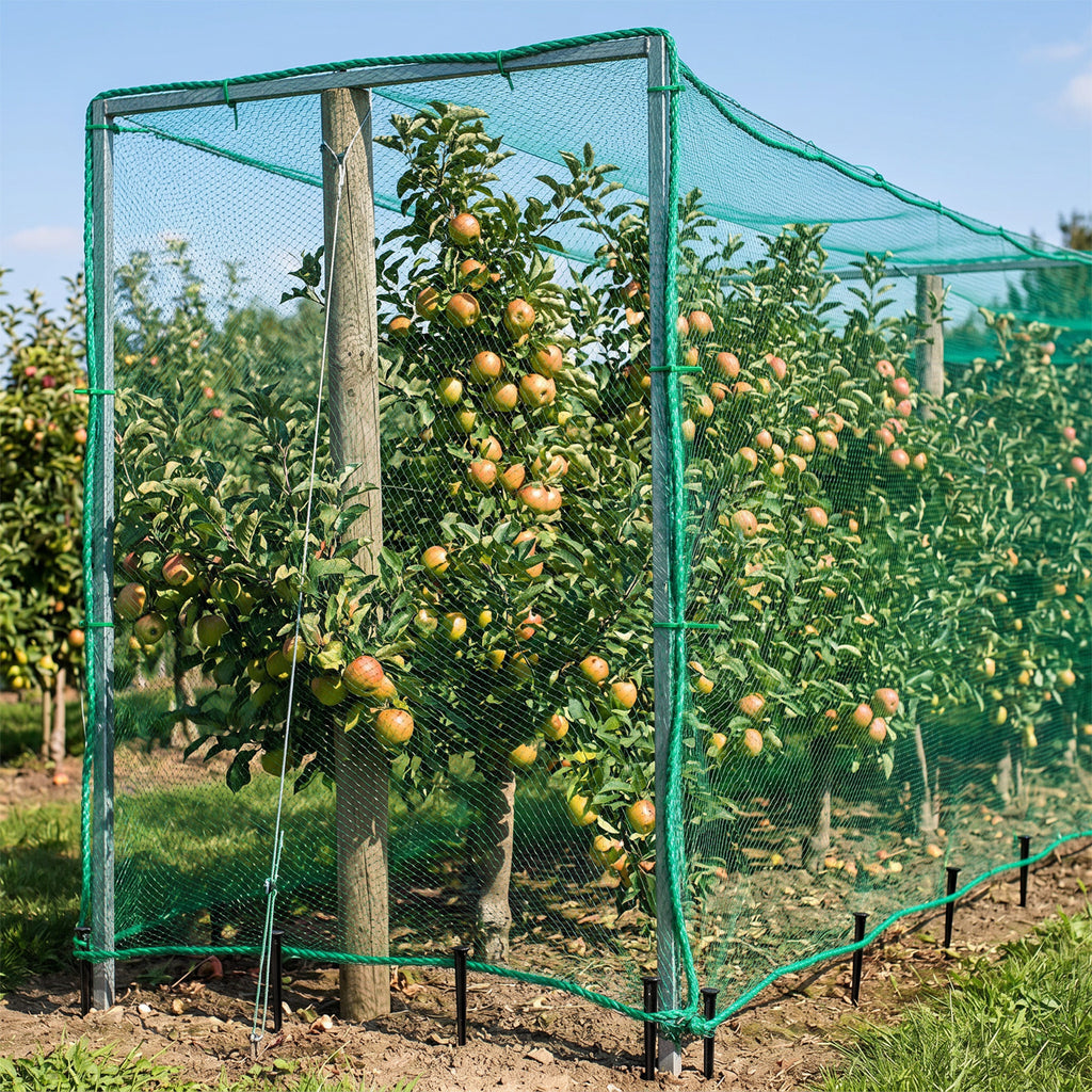 Filet de protection de l'arbre fruitier avec étriers et pinces de fixation pour protéger votre récolte