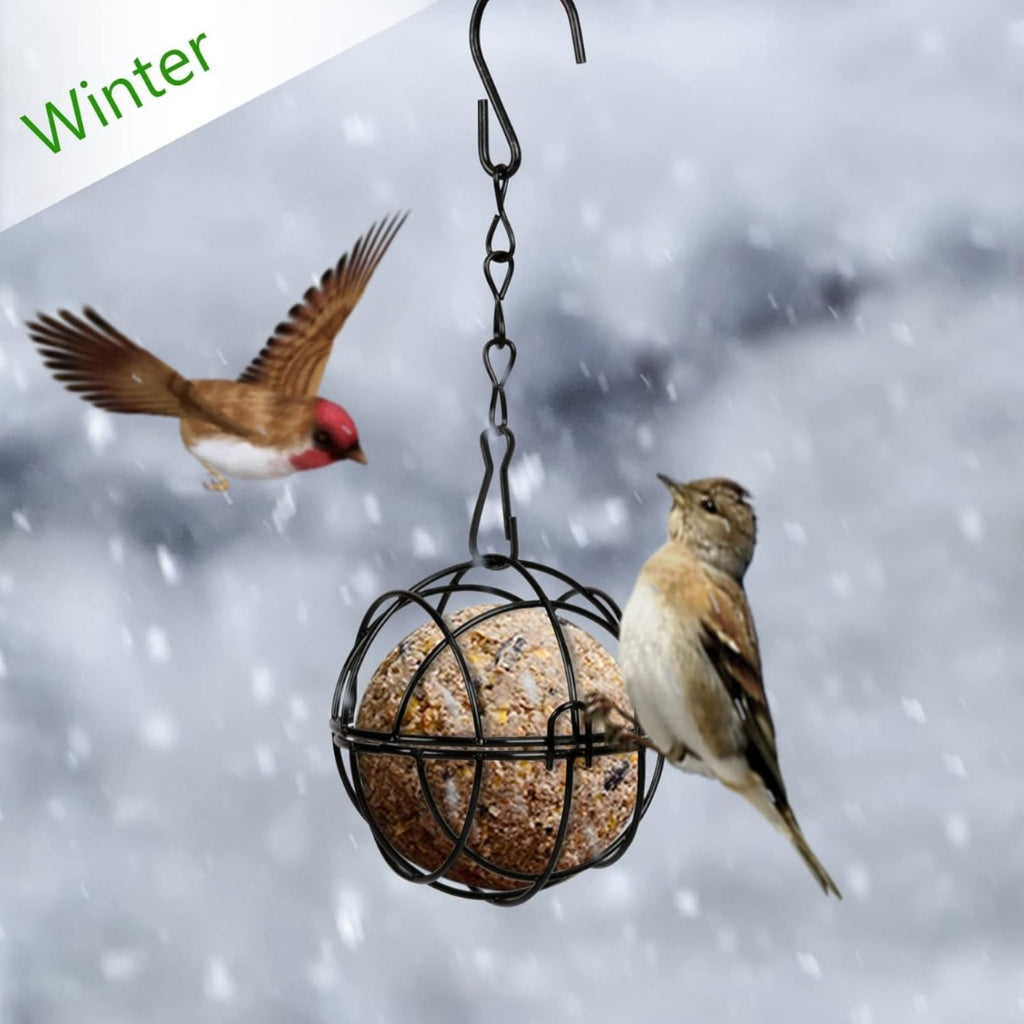 Ensemble de 4 Titmouse Suet Holder Bird Feeder Station pour accrocher