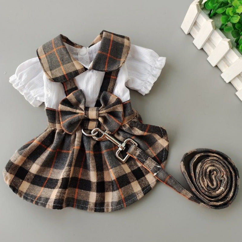 Robes de chien pour promenades en plein air avec une laisse
