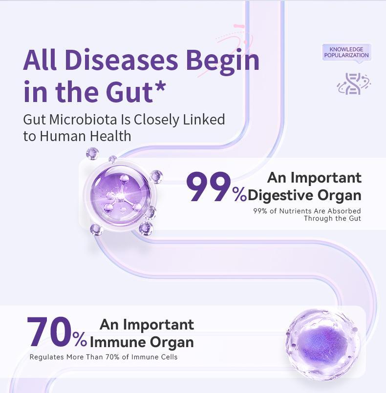 Probiotiques de Gut lumineux de 4e génération 10 milliards d'UCF améliore efficacement la gastro-intestinale