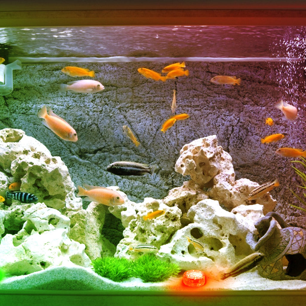 4Pcs RGB Lumières de piscine avec télécommande IP68 sous-marins étanches