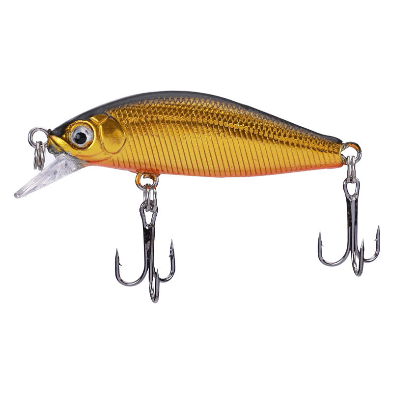 Pêche en eau douce Cockroach Bass Blackfish Bait