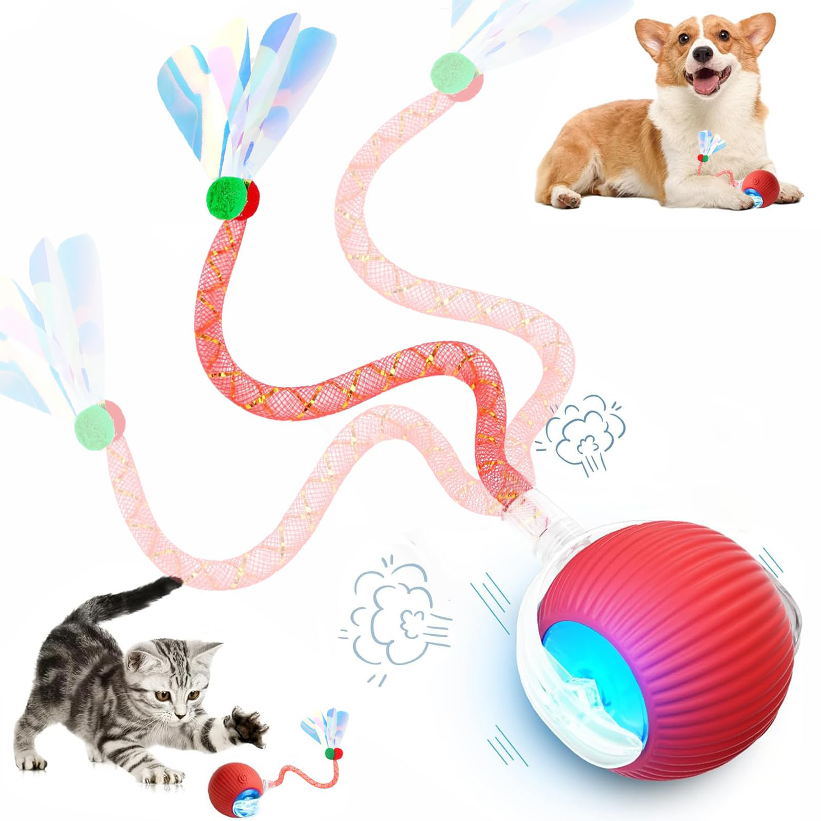 Jouets interactifs pour chats de queue pour chats d'intérieur