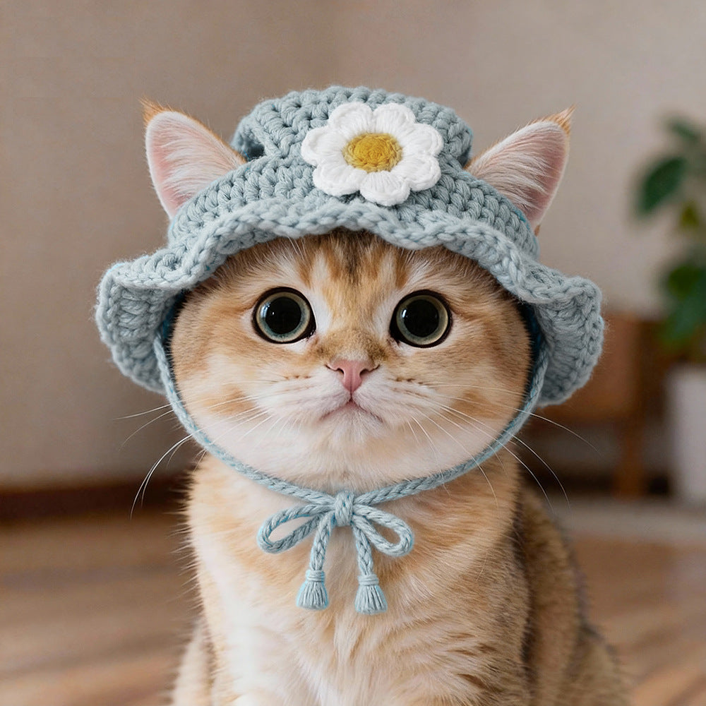 Chapeau tricoté pour chats et chiots