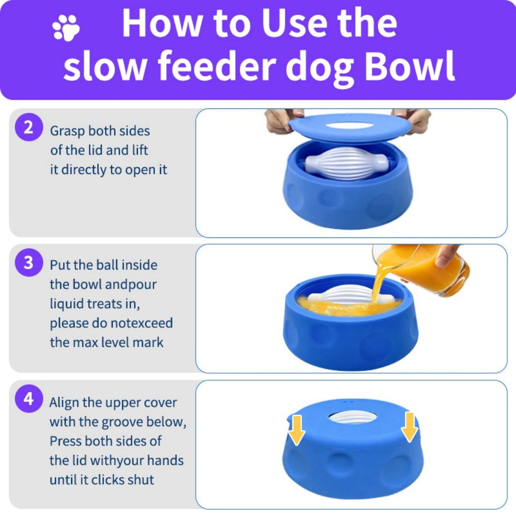 Lent Feeder Licking Bowl