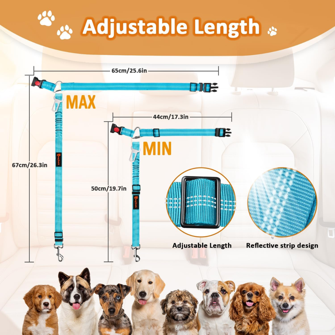 3-in-1 dog seat belt, retractable car leash