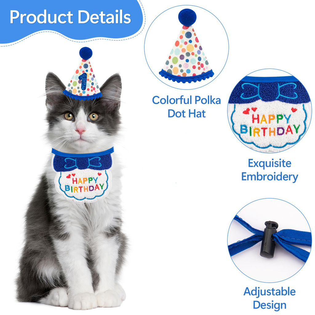 Fournitures pour fête d'anniversaire de chat