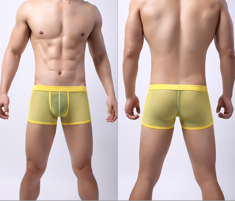 Sous-vêtements pour hommes Mesh Mesh Respirant Boxers Low Waist Transparent Boxers Youth Cool Short