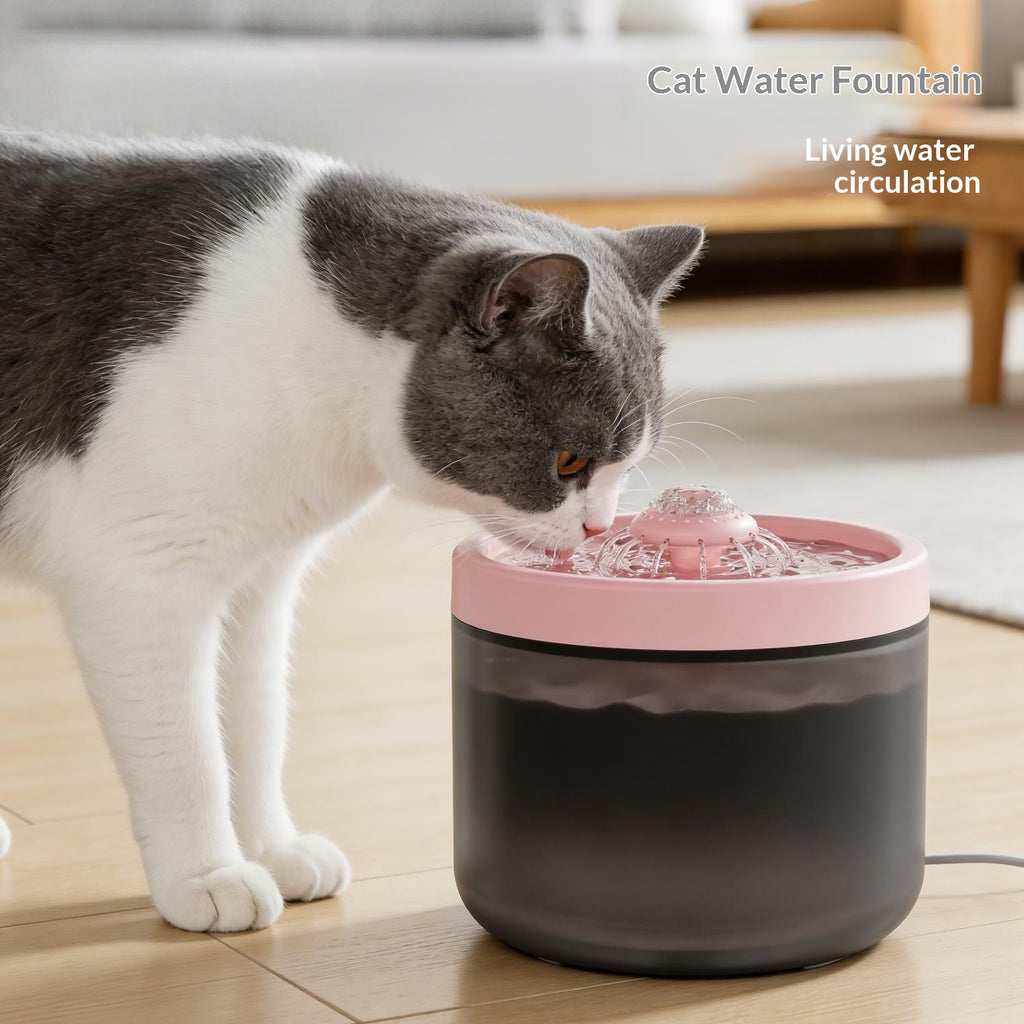 Filtrage automatique Fontaine d'eau pour animaux de compagnie circulant