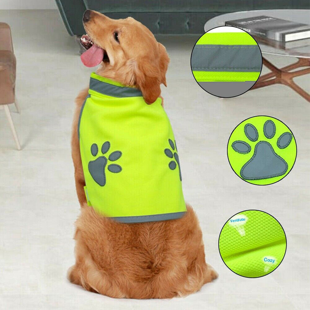 Pet Leash Veste de vie réglable réfléchissante respirant
