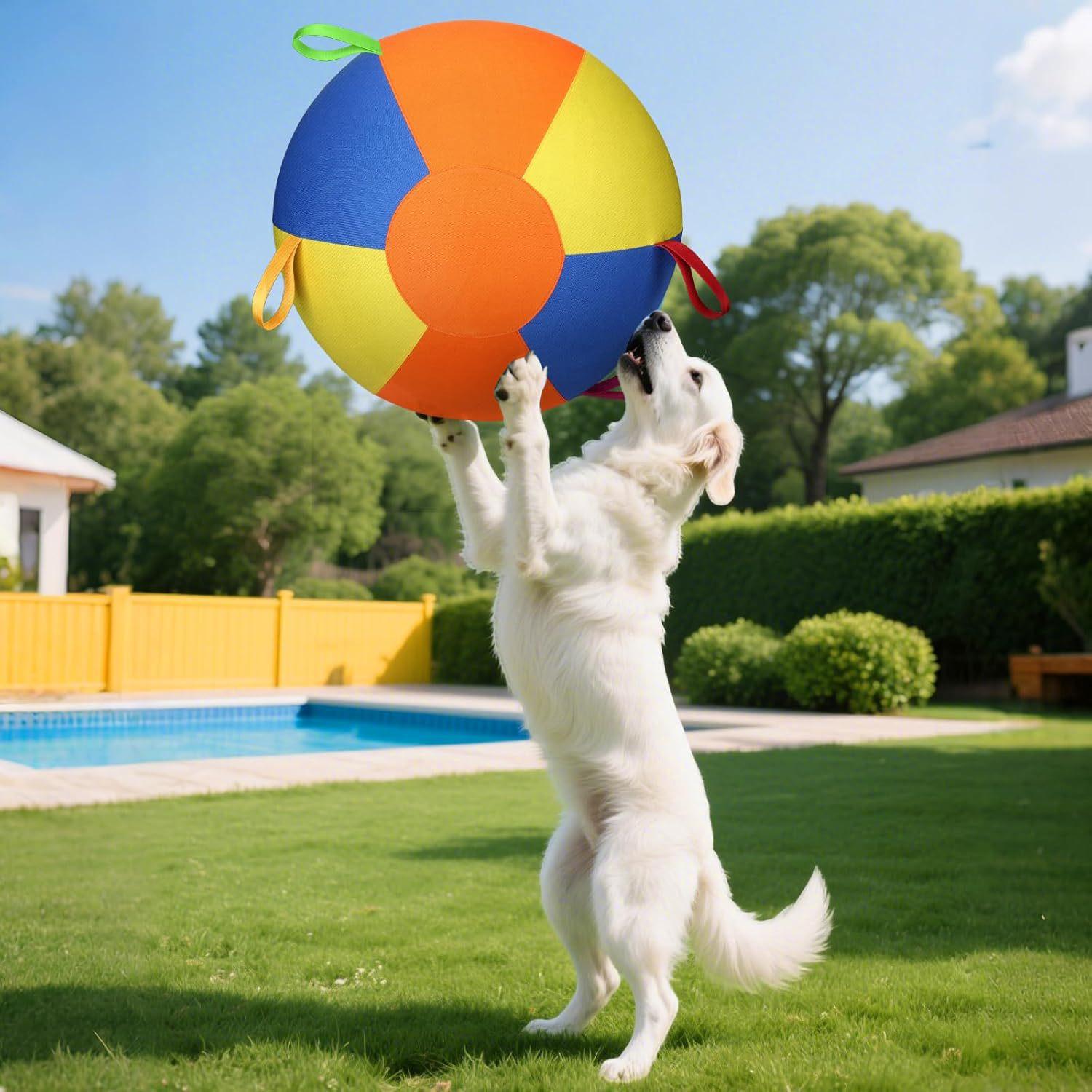Entraînement gonflable et jeu d'exercice Pet Play Ball