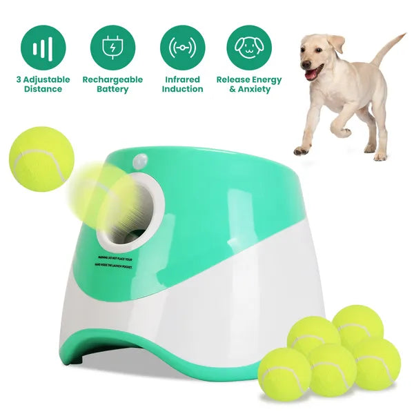 Launcheuse automatique de balle de chien inclus 6 balle de tennis chien avec 3 distance de lancement réglable