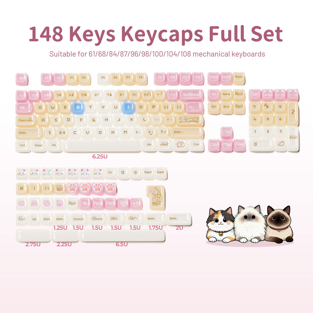 Ragdoll Cat Mignon Clavier de couleur claire