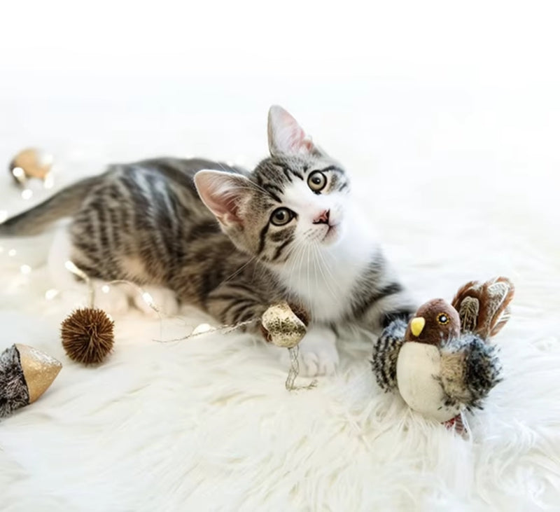 Jouets interactifs pour chats Simulation électrique en peluche d'oiseaux Chats animaux Jouets de location avec Fe