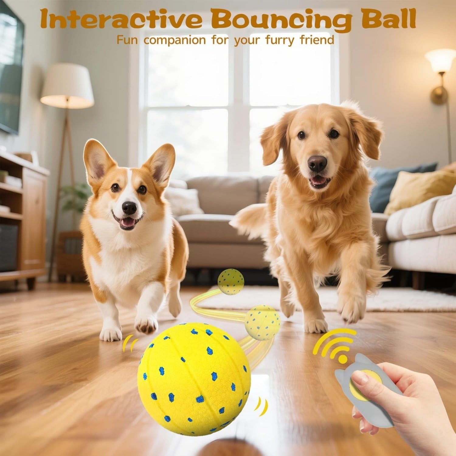 Jouet interactif pour chien avec 3 modes de jeu