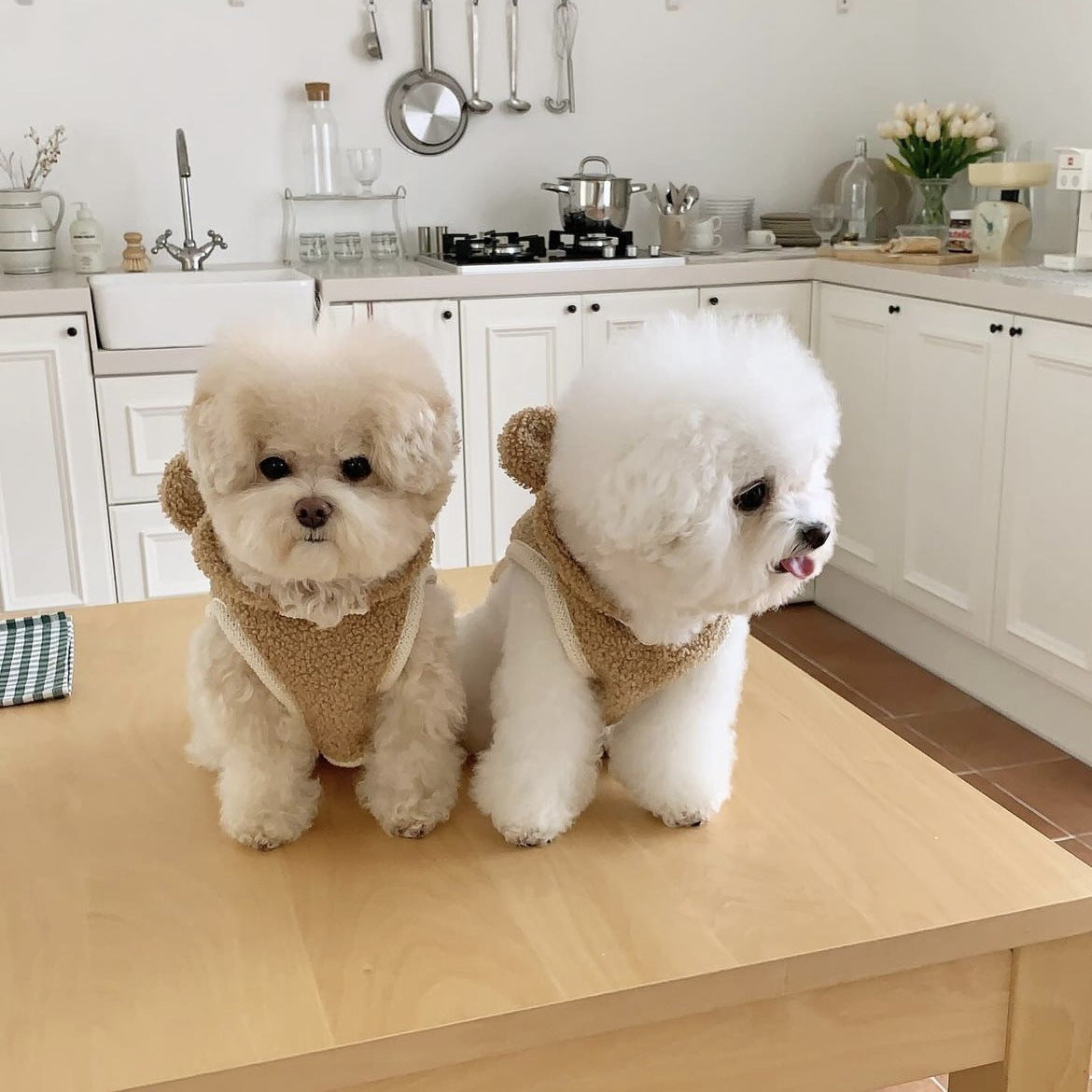 Warm Pet Clothes Small and Medium Dog Clothing Cape