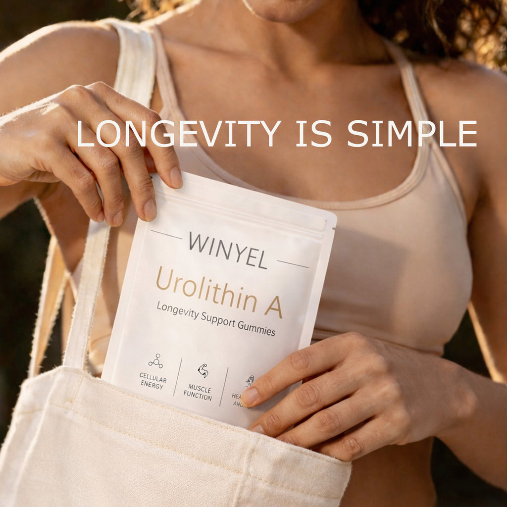 WINYEL Urolithine Un supplément Gommies - Pour un vieillissement en santé Énergie cellulaire Force musculaire