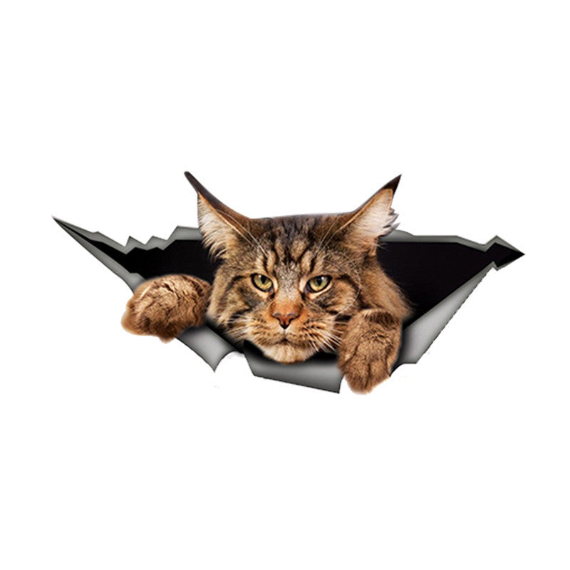 Maine Coon Autocollant Torn Metal Sticker réfléchissant