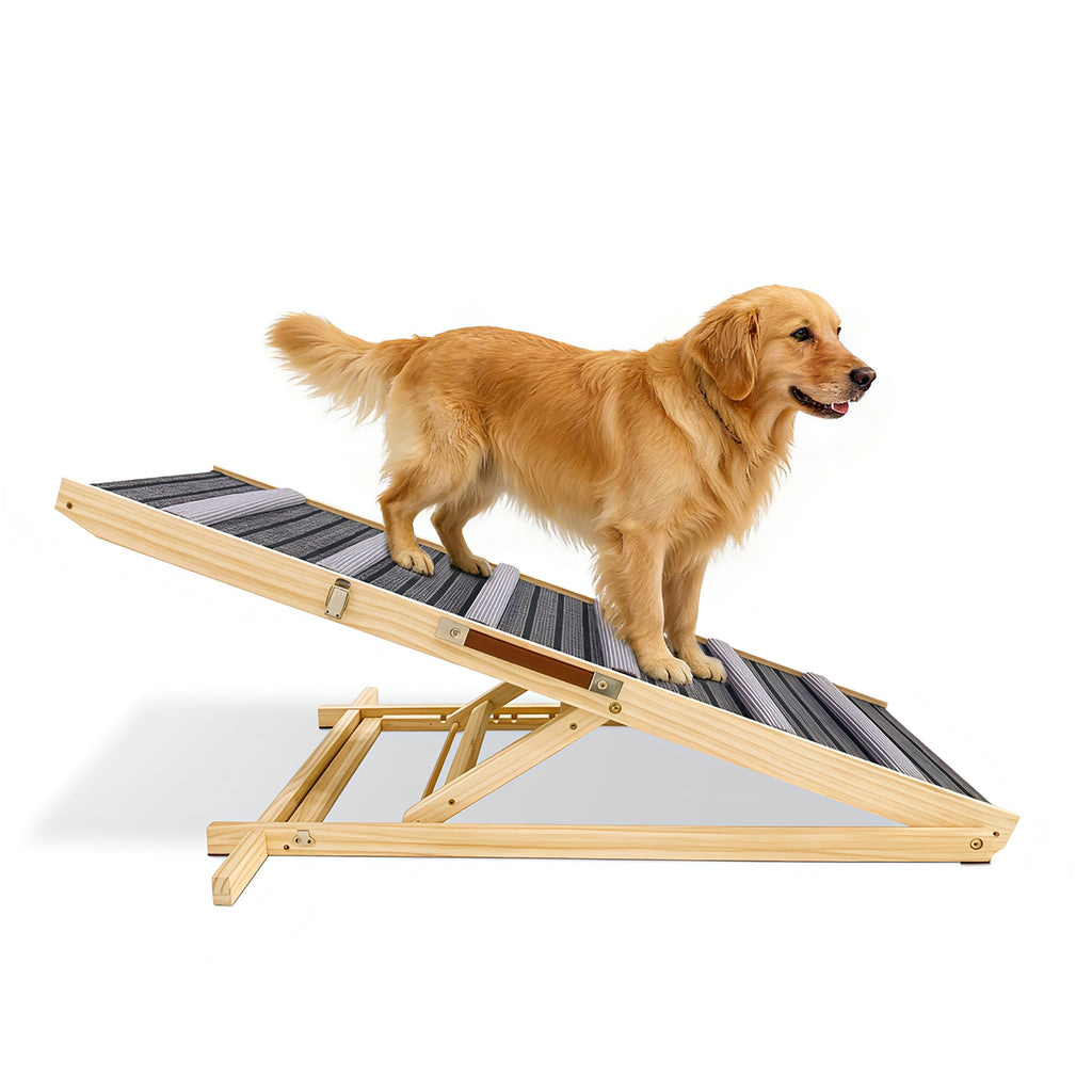 Rampe de chien améliorée pour Couch