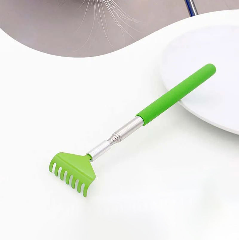 Brosse de massage pour jouets interactifs pour chat