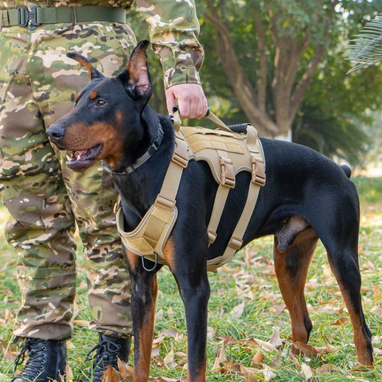 Harnais tactique pour chien avec laisse réfléchissante légère