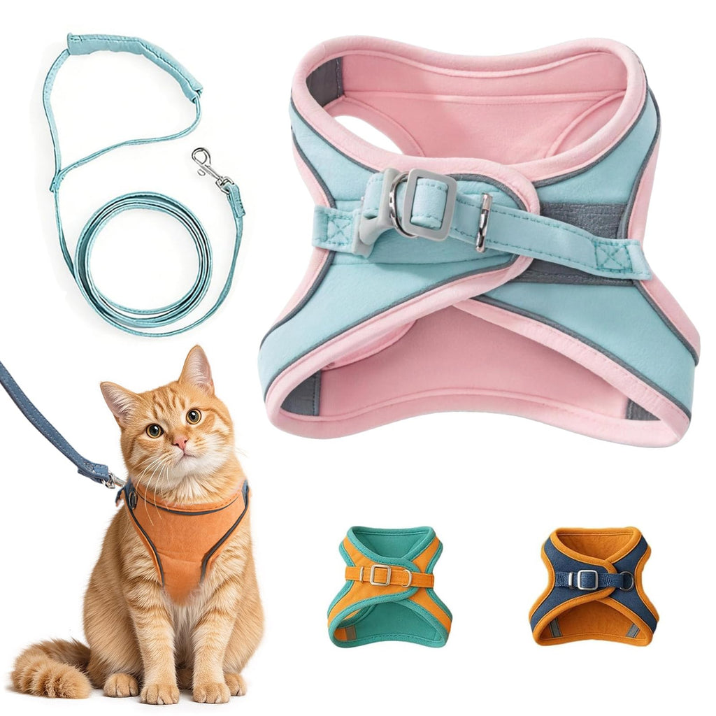 Harnais de chat et laisse