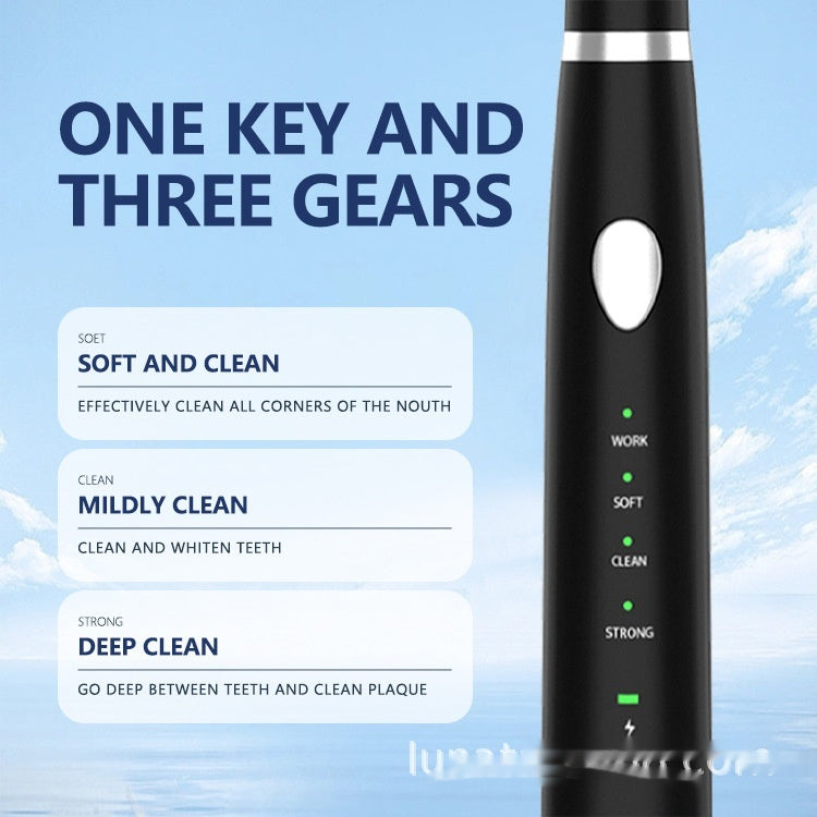 Dents ultrasoniques Nettoyeur d'eau Dents d'épice dentaire Enlevant le calculus ménager Blanchiment des dents