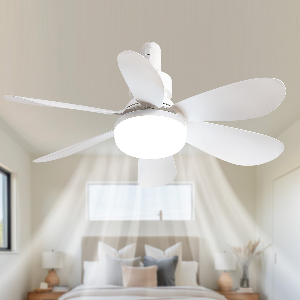 Eventail de plafond portable de 20 pouces avec lumière et télécommande