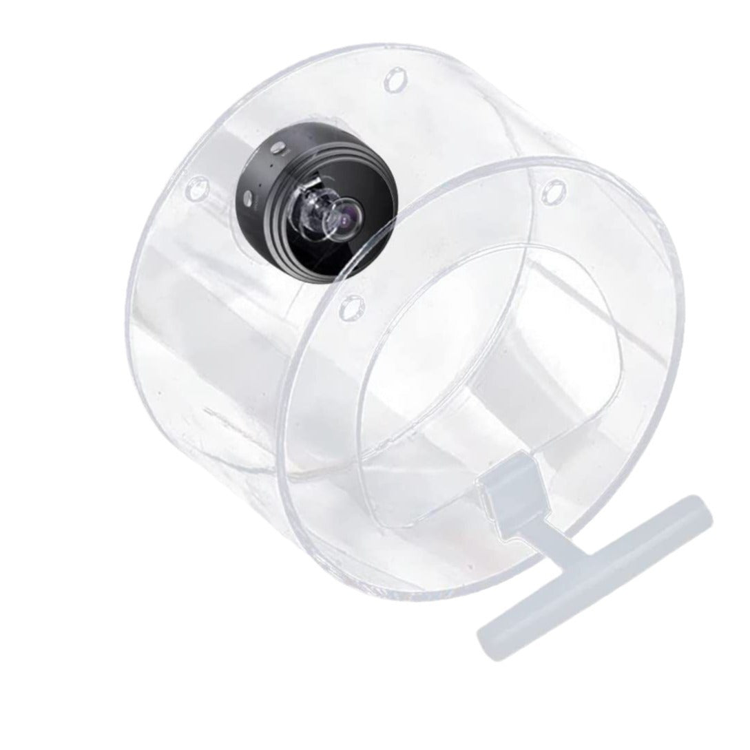 Pet Smart Feeder Surveillance en temps réel en plein air avec caméra HD