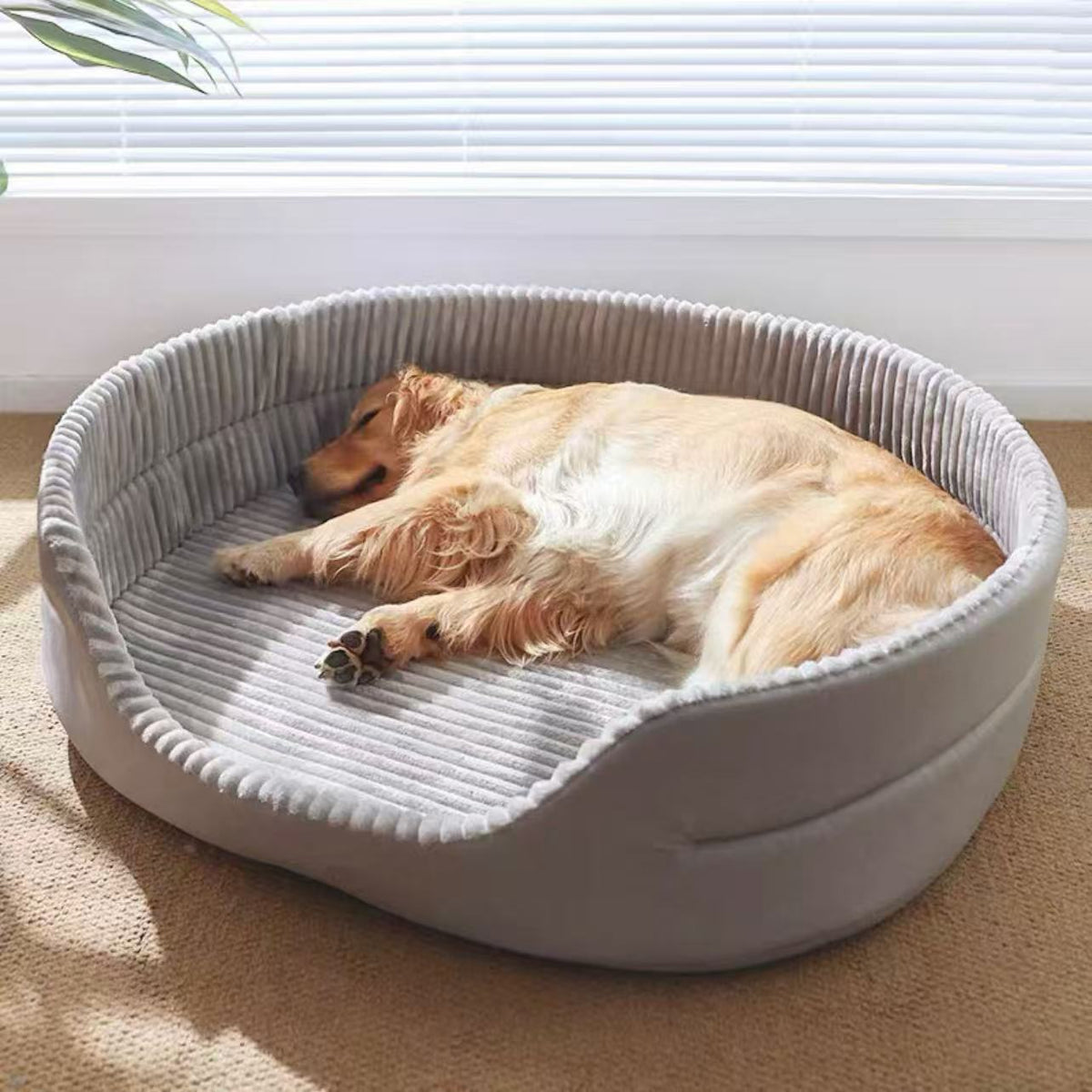 Thick all-season dog bed for home use