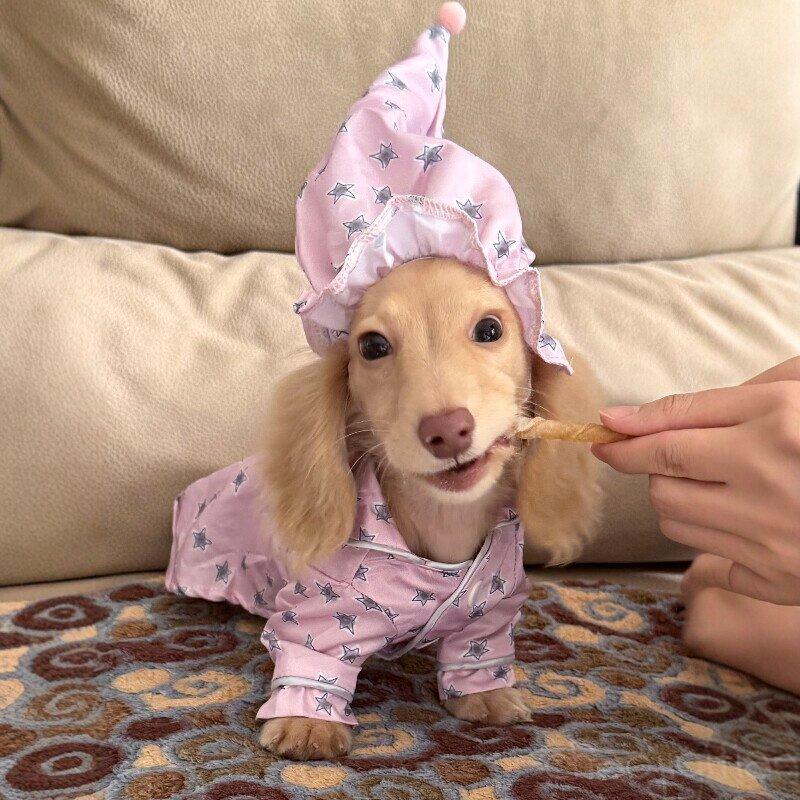 Pyjama et vêtements de chien sont minces